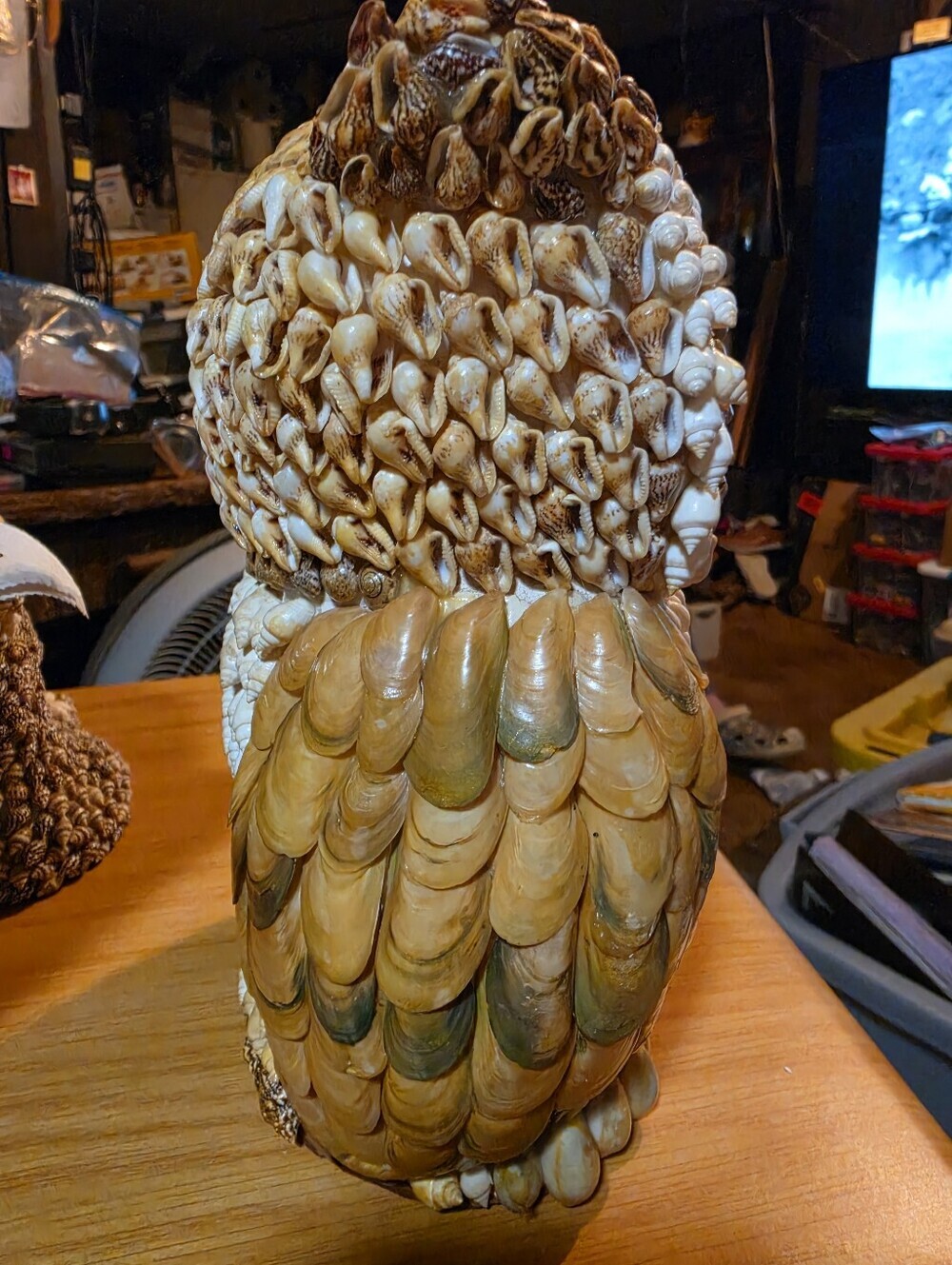 10" Tall Vintage Sea Shell Owl - Picture 3 of 4